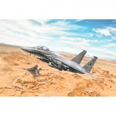 Aircraft model: F-15E Strike Eagle