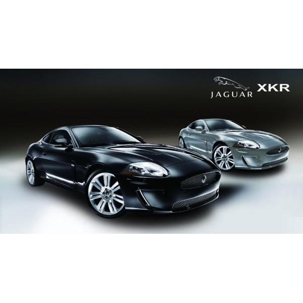 Jaguar XKR 1/14 noir Jamara - JAM-403955