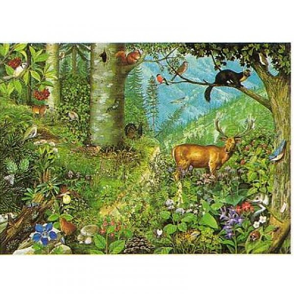 Puzzle 1000 pièces - Collection européenne : Forêt de montagne - Hamilton-EC6/1012