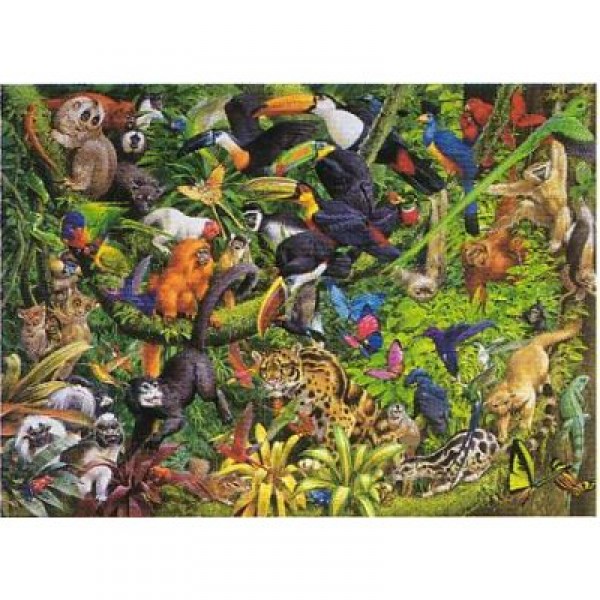Puzzle 1000 pièces - Forêt tropicale - Hamilton-MC2/1035