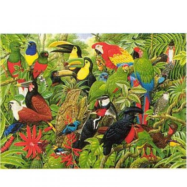 Puzzle 1000 pièces - Les oiseaux du Costa Rica - Hamilton-CR2/1028