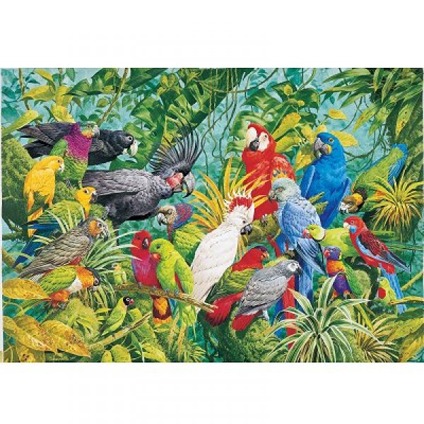 Puzzle 1000 pièces - Perroquets de la forêt tropicale - Hamilton-RP1/1020