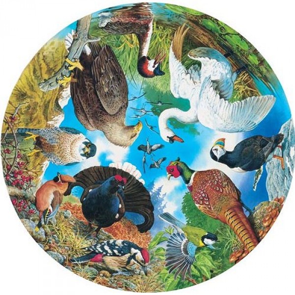 Puzzle 500 pièces rond - Les oiseaux du lac, de la forêt et des champs - Hamilton-BL1/0516