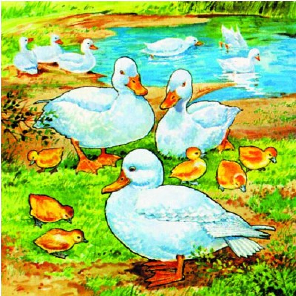 60-piece puzzle - Farm animals: Ducks - Hamilton-525-6