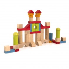 Building blocks: 52 wooden pieces