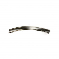 Accessoire pour circuit de train : Double Rail courbé R1 : 37.1 cm