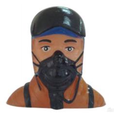 Pilote Warbird 