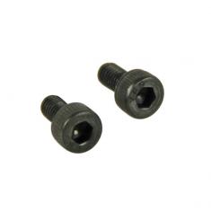 S32119 Sc32-36Hr/Sc40-46S Carb Ret.Screws (2) 