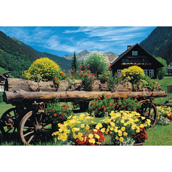 1000 pieces puzzle: Flowers of the Alps - Diset-18335