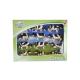 Miniature Lot de 12 figurines vaches noires et blanches (1:32)