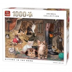1000 pieces puzzle: kittens