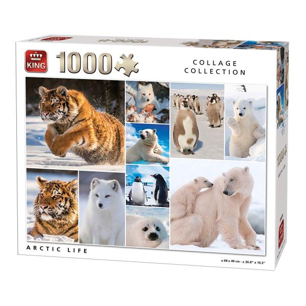 1000 pieces puzzle: Arctic life - King-58226