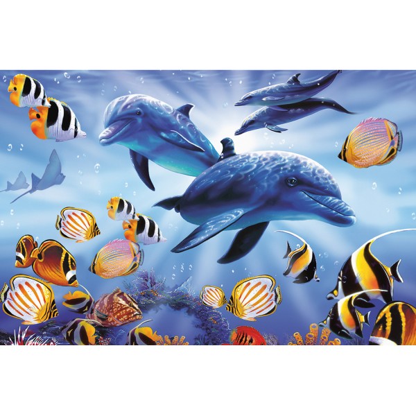 Puzzle 1000 pièces : Quatre dauphins - King-58116
