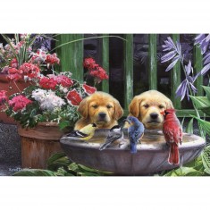 1000 pieces puzzle: Reunion around the water point