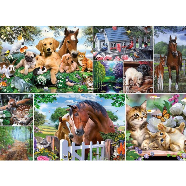 Puzzle 1000 pièces : Collection Collage :  Le monde des animaux - King-55871