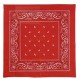 Miniature Rotes Bandana