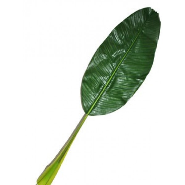 Riesiges Bananenblatt (101 cm) - 64560