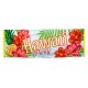 Miniature  Banner – Hawaii-Party – Paradies