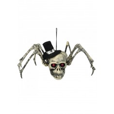 Spinnenschädel-Dekoration – Halloween