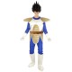 Miniature Vegeta Saiyajin™ Dragon Ball Z™ Kostüm – Erwachsene