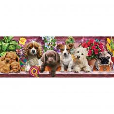 1000 piece panoramic puzzle : Puppies