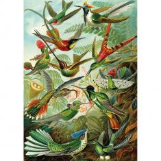 1500 piece puzzle : Hummingbirds