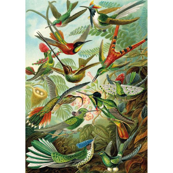 1500 piece puzzle : Hummingbirds - KSGames-22030