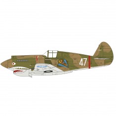 Maqueta de avión: P40 Flying Tiger