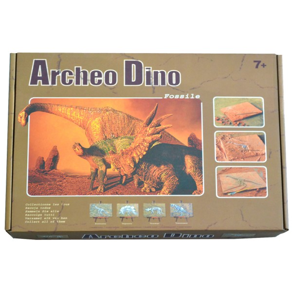 Archéo-Dino : Fossile Stegosaure - LGRI-MM1N-Stegosaurus