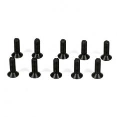 Flathead Screws, M3 x 10mm (10)