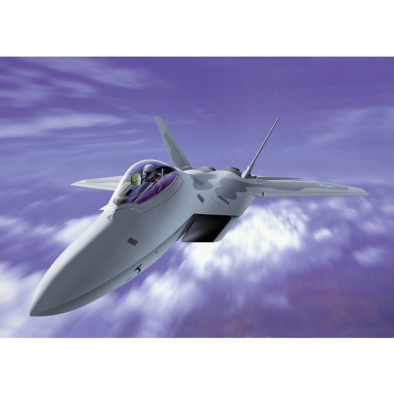 Maquette avion : F-22 Raptor