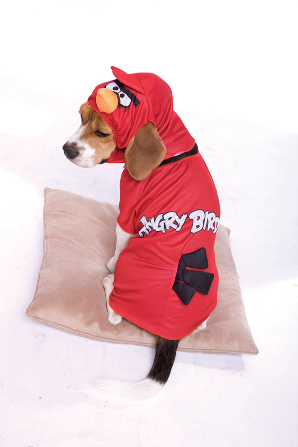 Déguisement Red Bird?- Angry Birds? pour chien