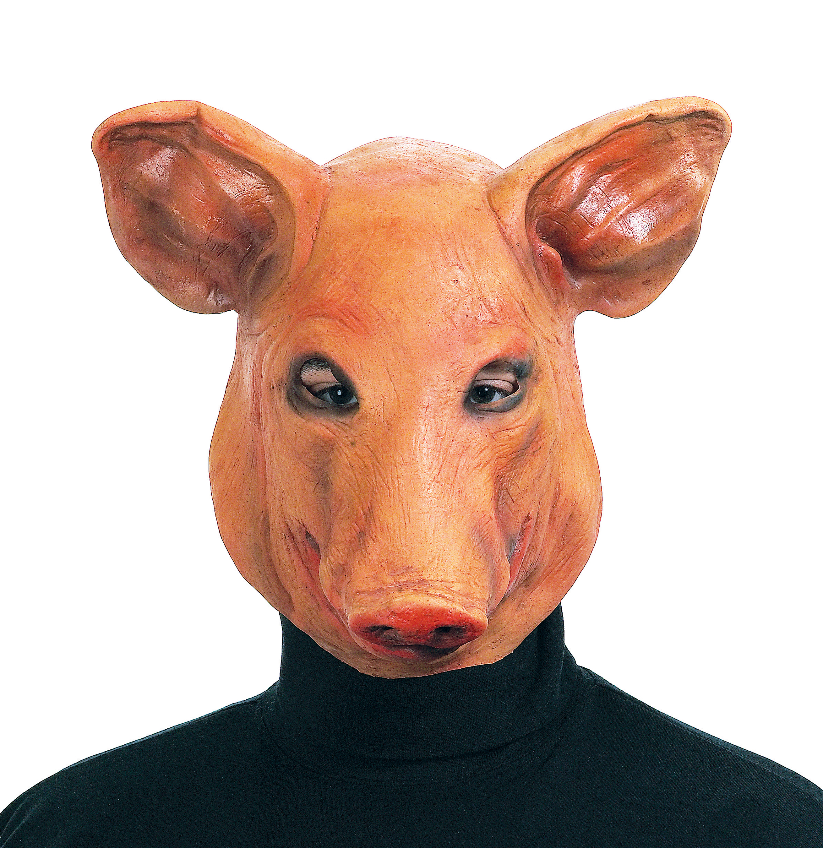 Голова свинки. Маска свиньи реалистичная. Силиконовая маска реалистичная свиньи. Свинья анфас.