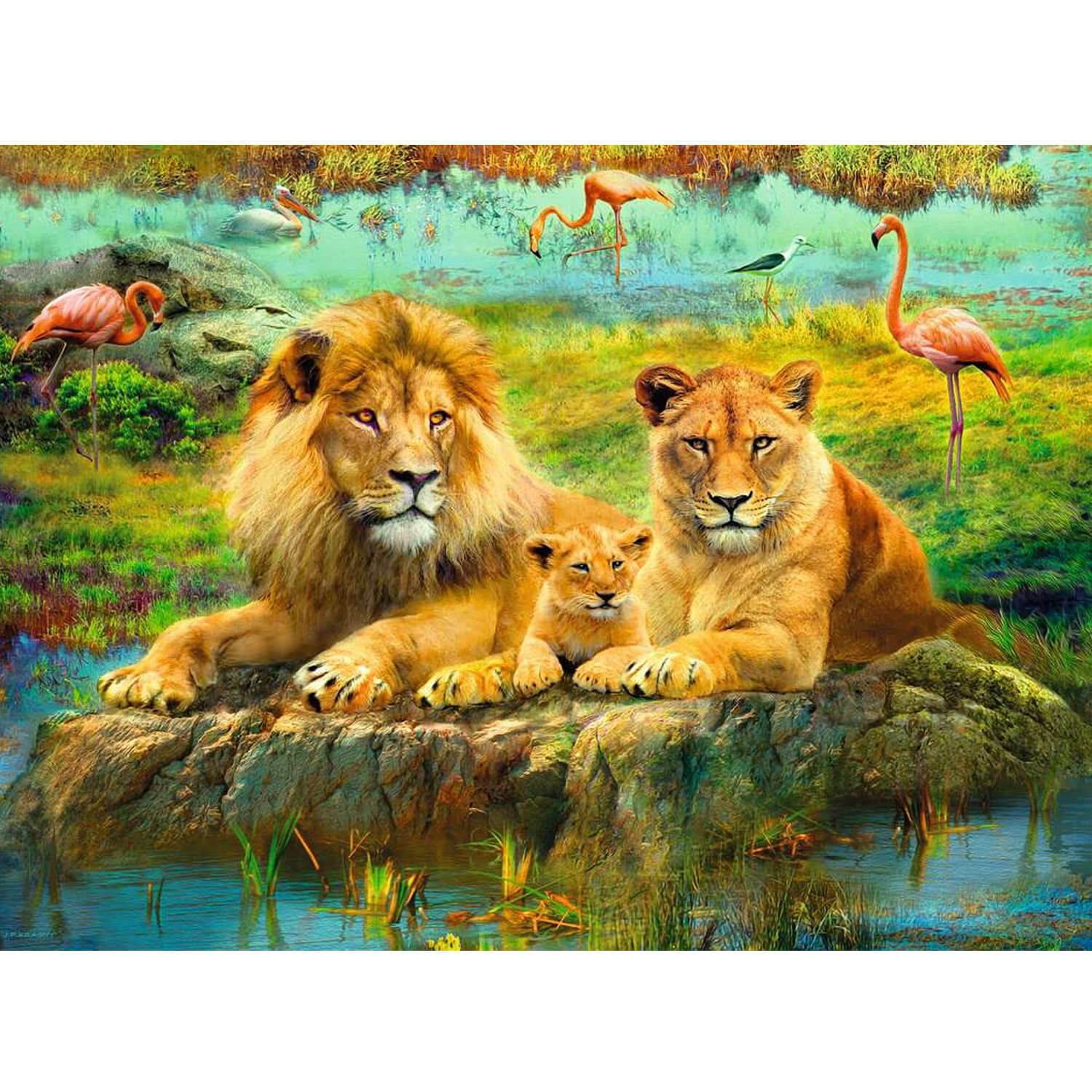 Puzzle 500 pièces : Lions dans la savane