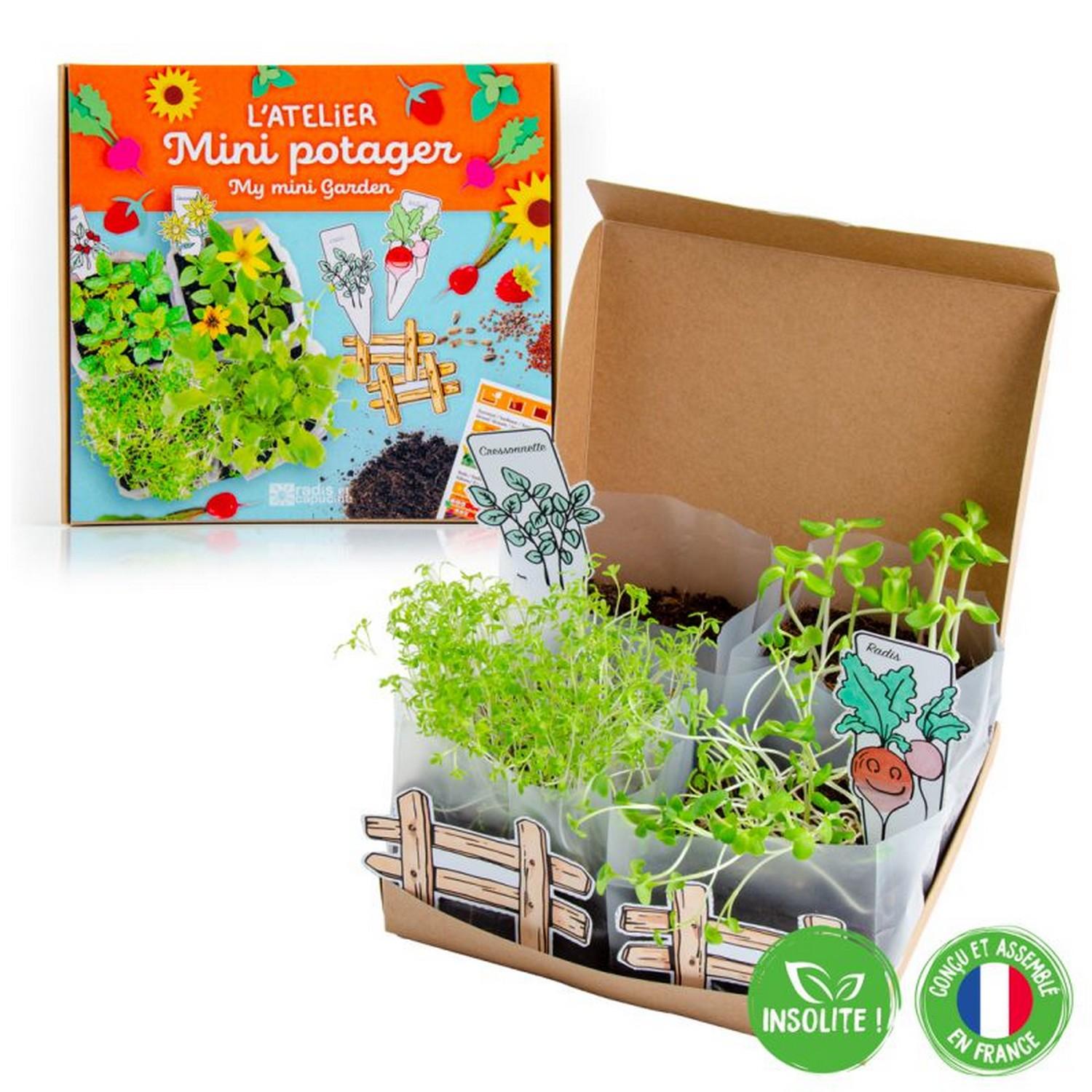 Kit pour jardinage : L'Atelier Mini Potager BIO