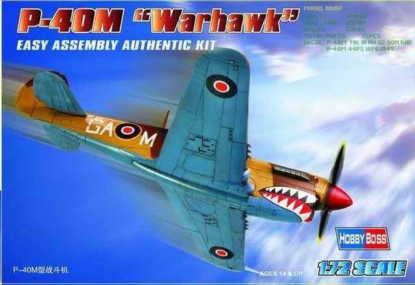 Maquette avion : P-40 M Warhawk