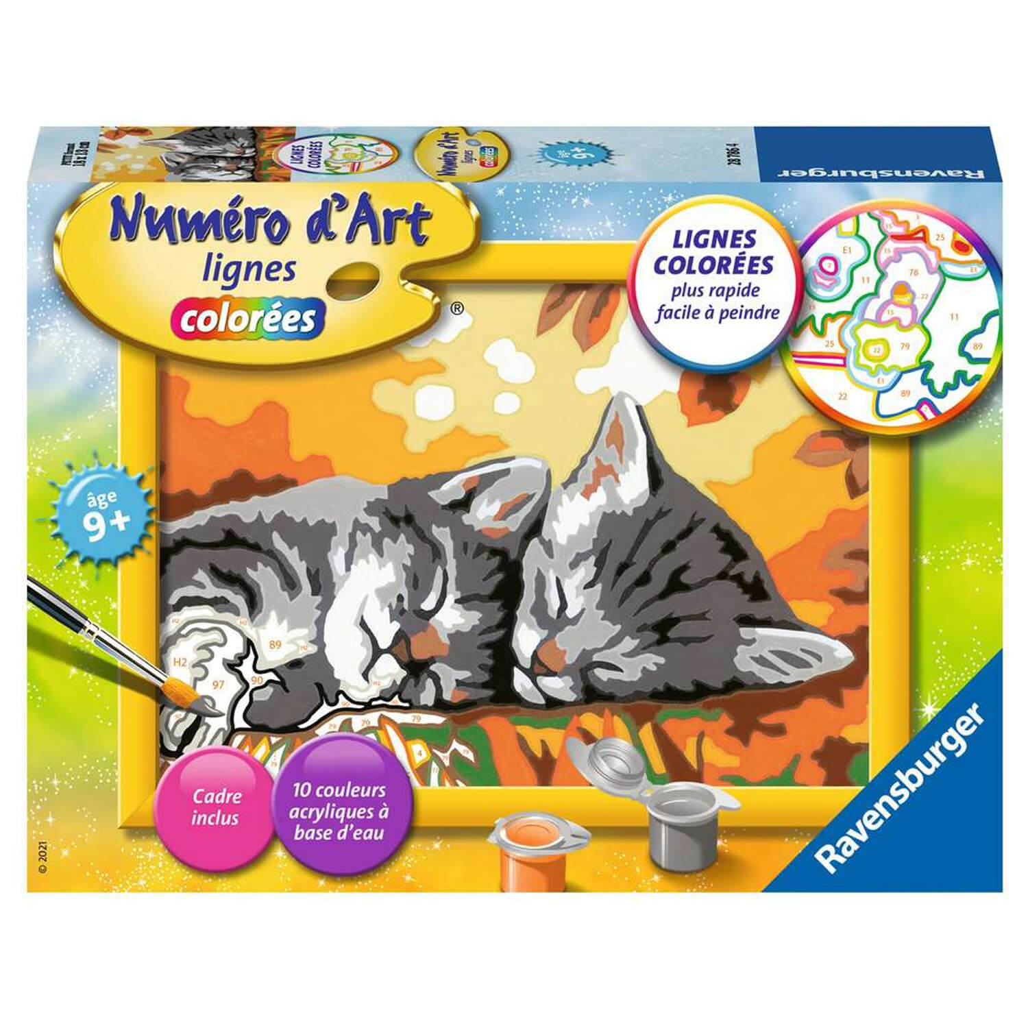 Peinture au numéro : Numéro d'Art Petit Format : Deux chatons couchés