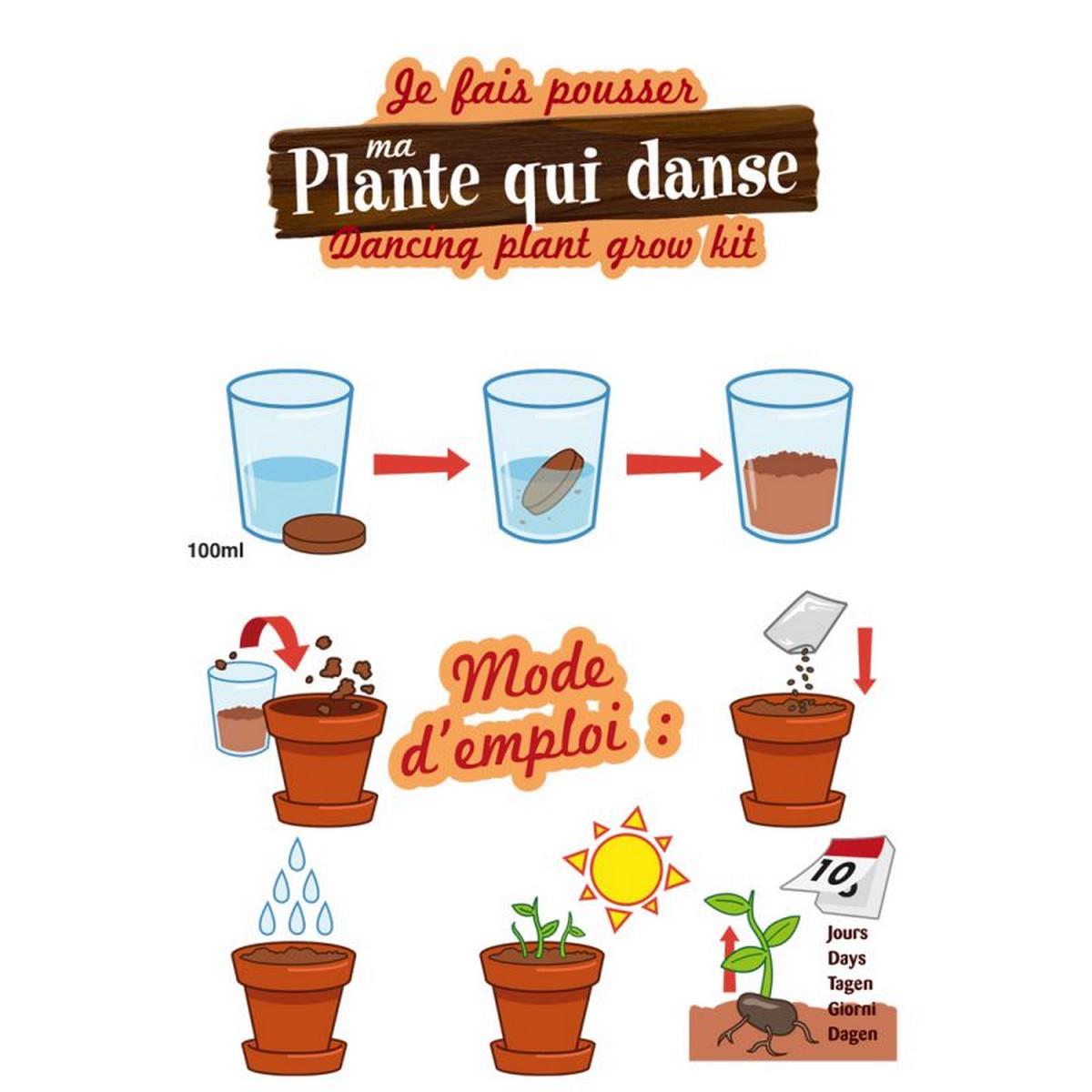 Kit de jardinage : Graines de plante qui danse - A faire pousser - Jeux et  jouets Radis et Capucine - Avenue des Jeux