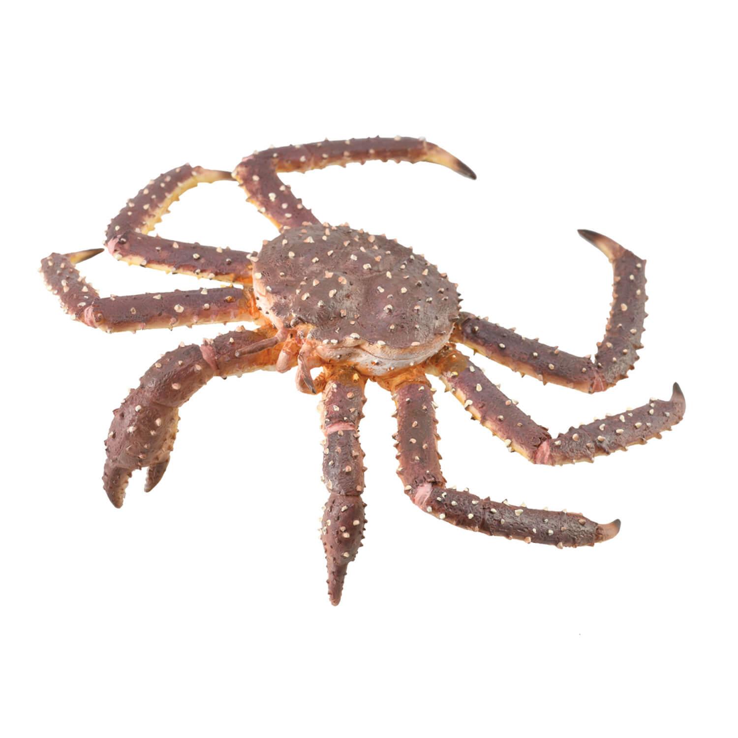 figurineâ animaux marins (xl):â crabe royal