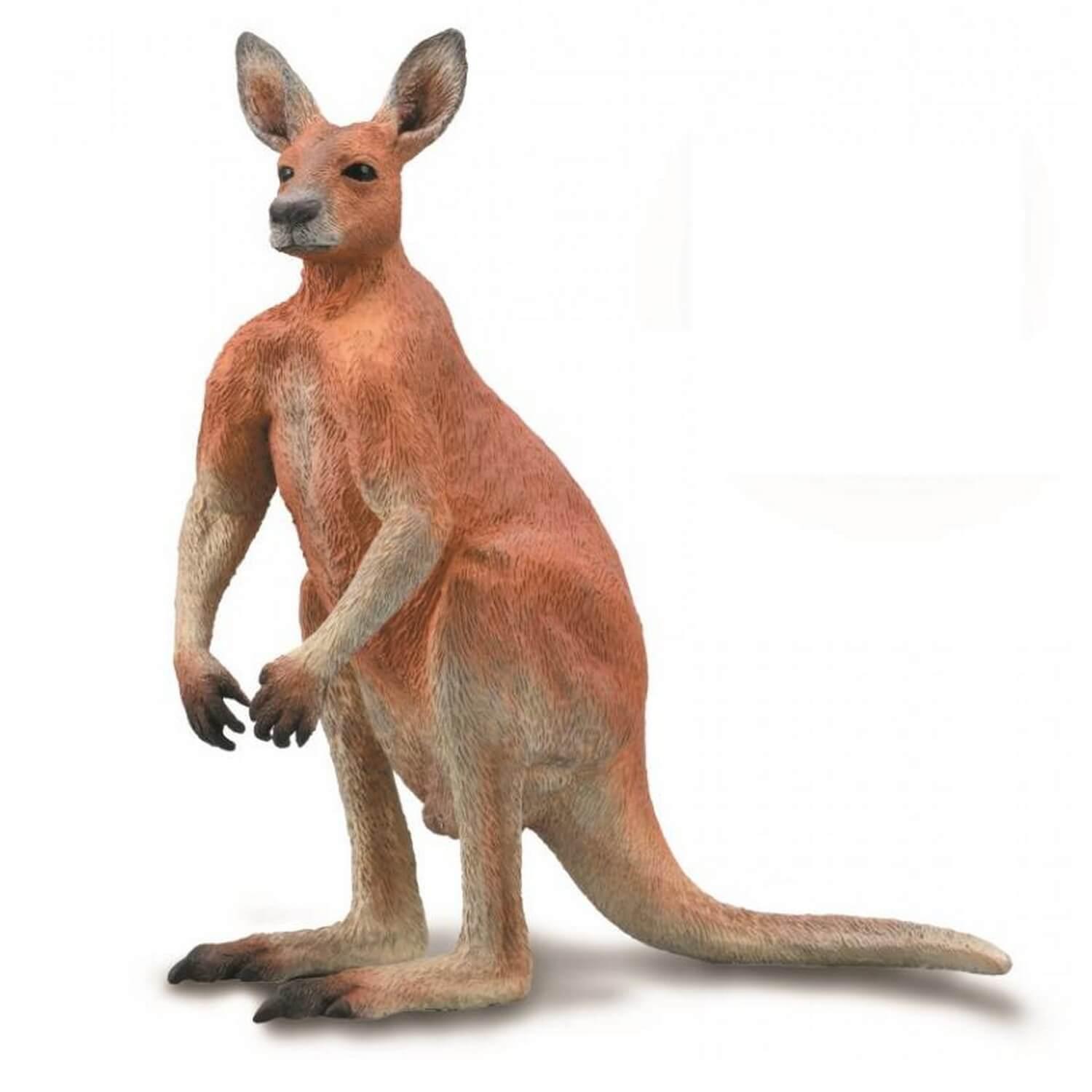 figurine kangourou roux mã¢le