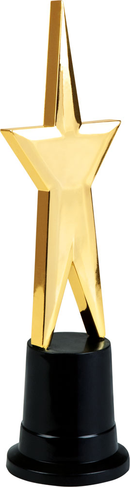 Décoration - VIP - Award Etoile