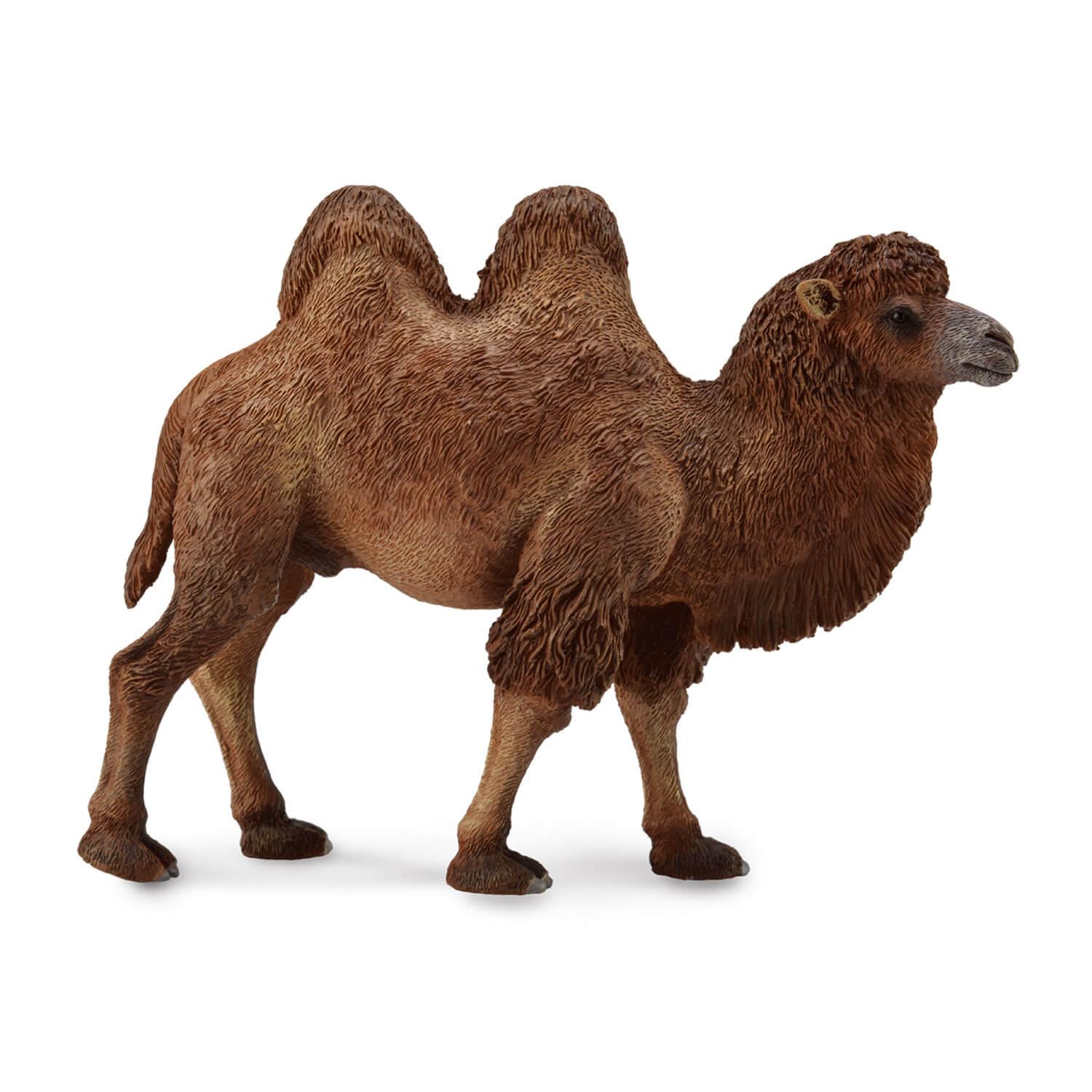 figurineâ animauxâ sauvages (l):â chameau de bactriane