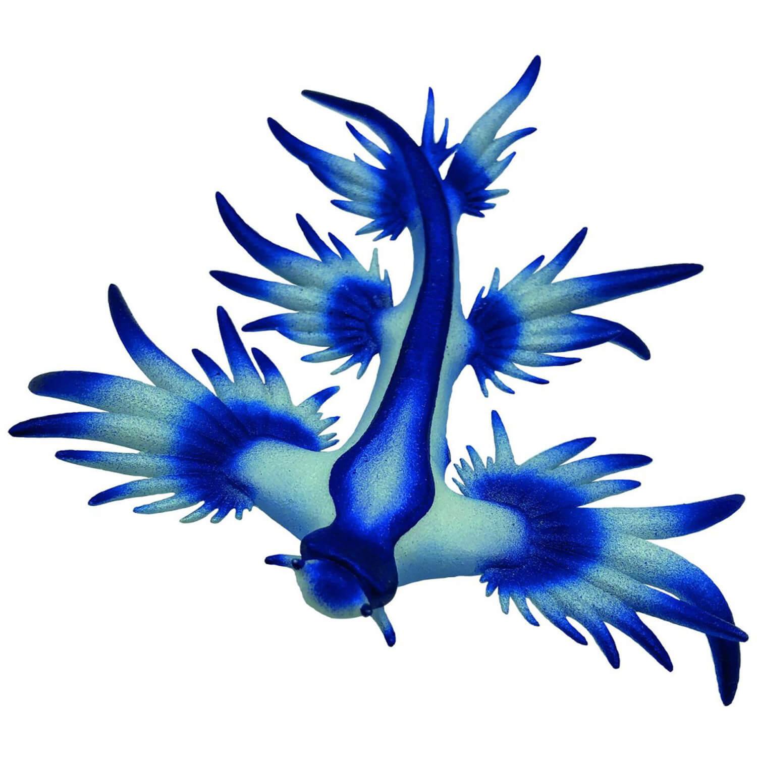 figurine animal marin : escargot de l'ocã©an bleu