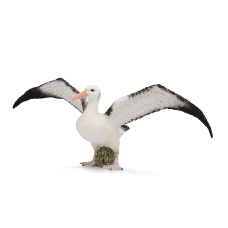 Figurine Albatros hurleur