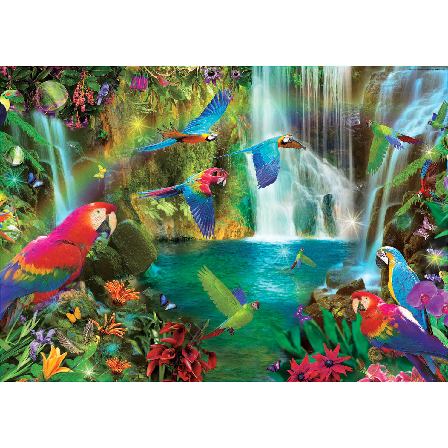 puzzle 1000 piã¨ces : perroquets tropicaux
