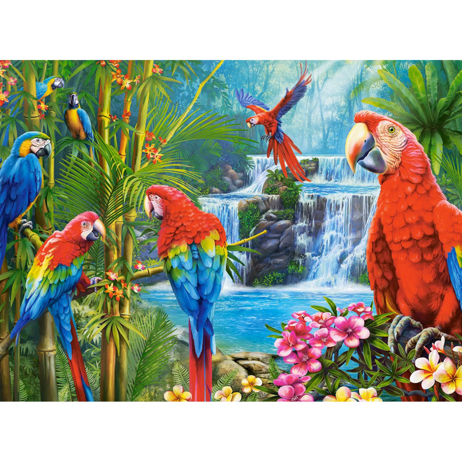 puzzle 2000 piã¨ces : rencontre de perroquets