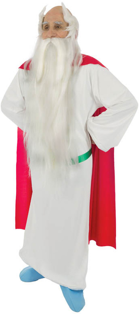 Déguisement Panoramix - Adulte