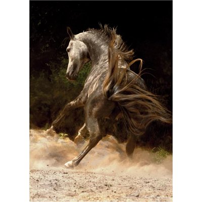 puzzle 1000 piã¨ces - chevaux : cheval dans la poussiã¨re