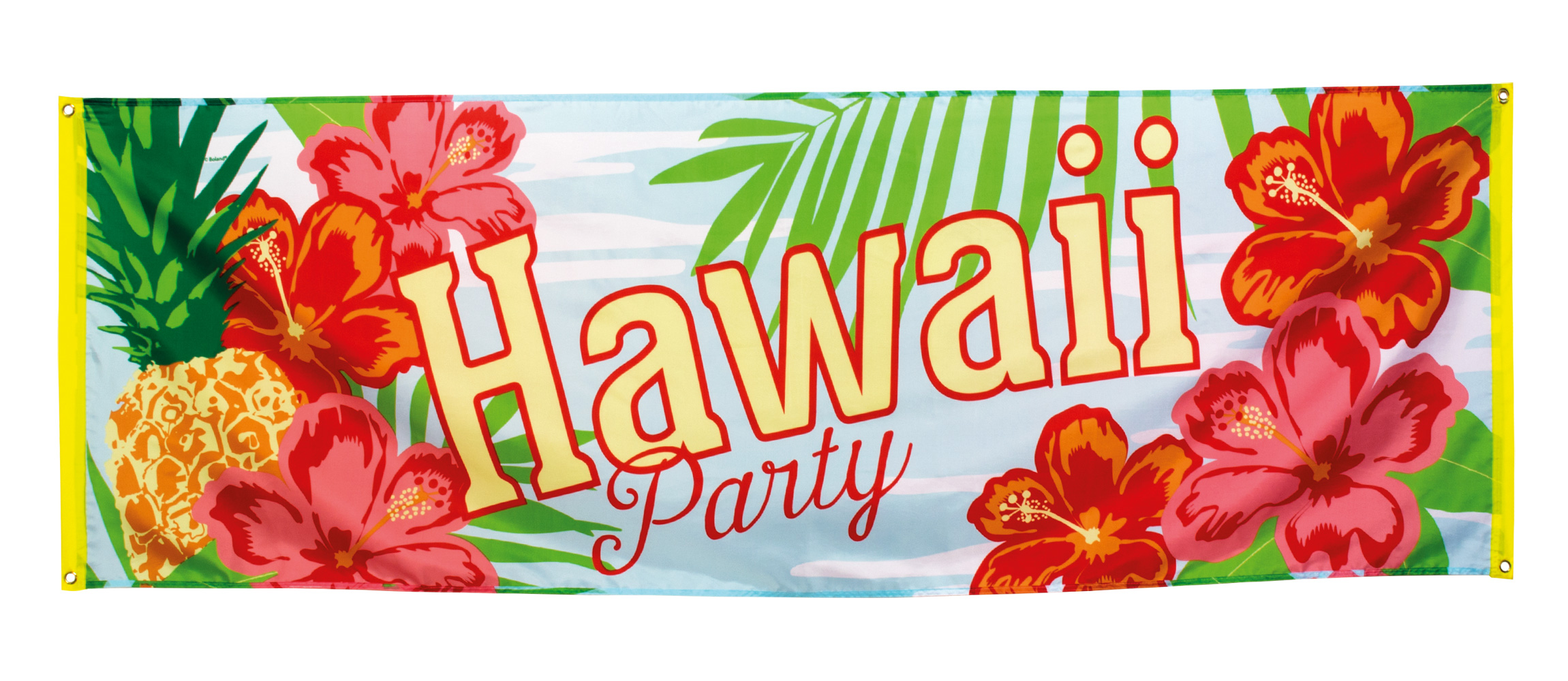 Bannière - Hawaï Party - Paradise