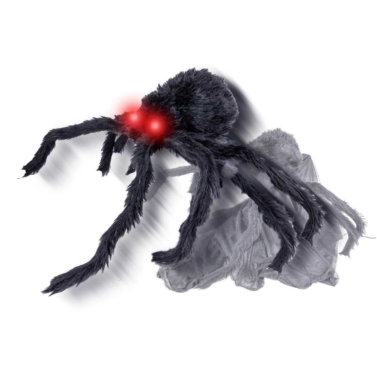 Araignée sauteuse 50 cm - Halloween